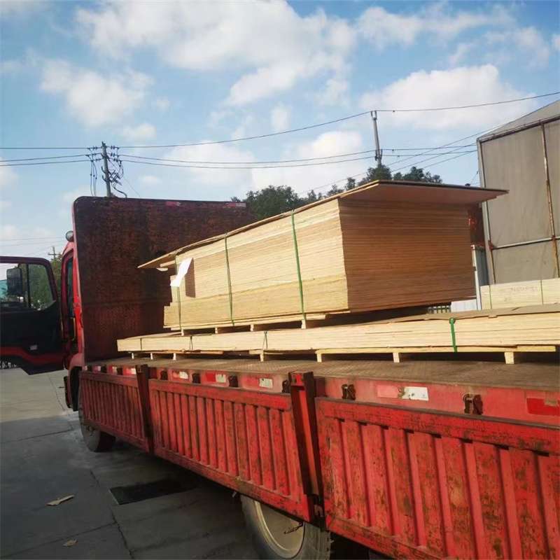 福建宁德蕉城到河北物流公司——一站式服务，让货运更便捷